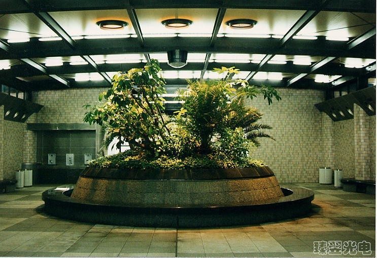 光導(dǎo)照明，光纖照明，室內(nèi)植物照射